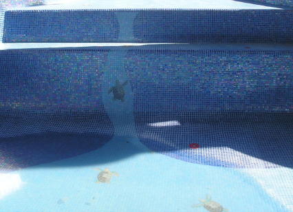 Image7.jpg Image7.jpg